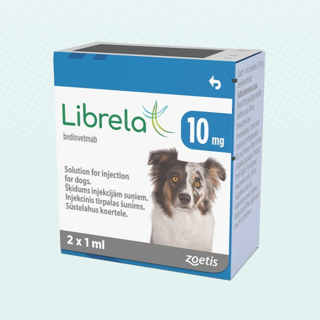 Zoetis Librela terapia con Anticuerpos Monoclonales para el Dolor en Perros