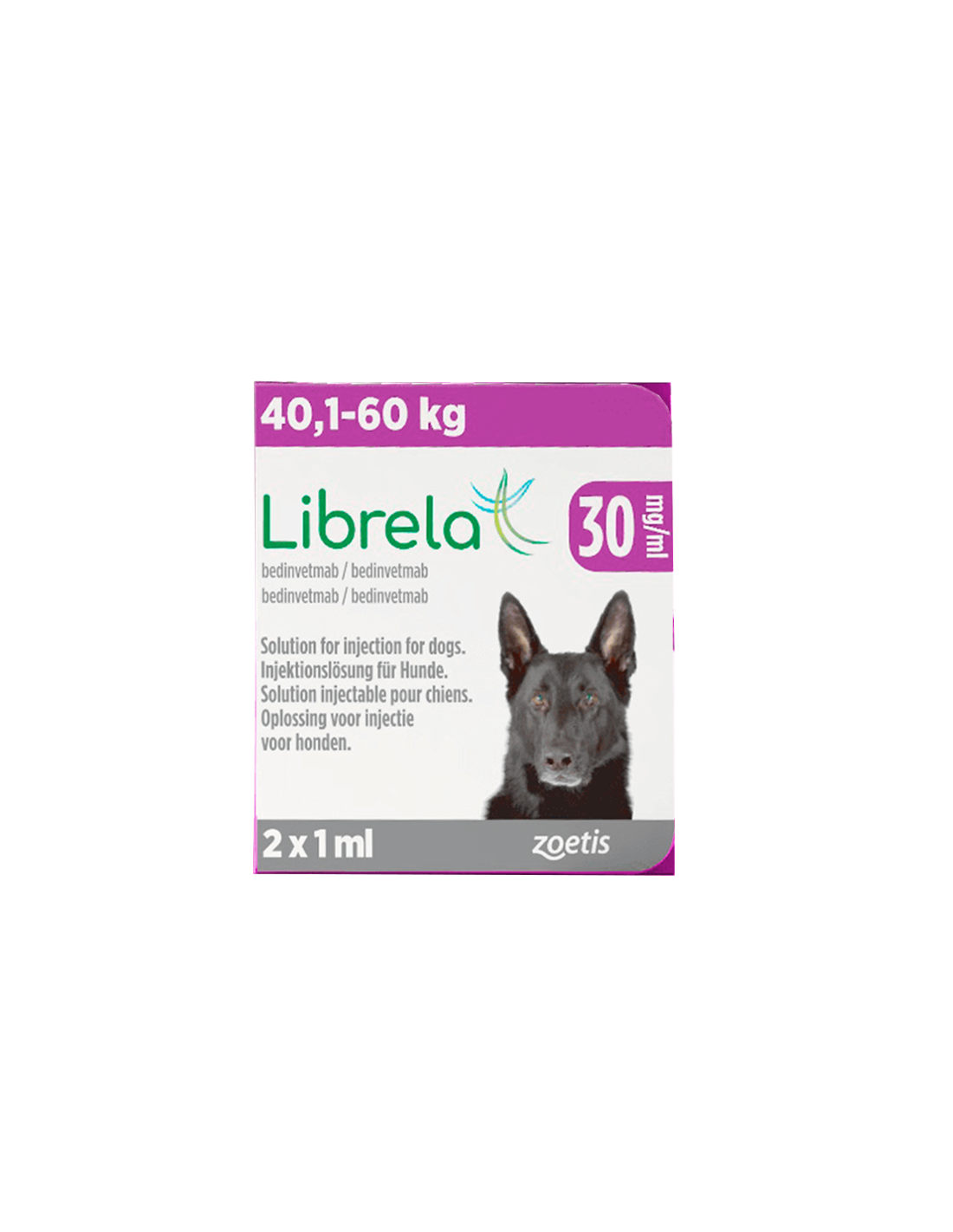 Zoetis Librela terapia con Anticuerpos Monoclonales para el Dolor en Perros